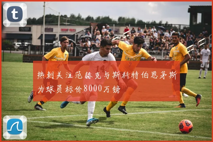 热刺关注范赫克与斯科特伯恩茅斯为球员标价8000万镑